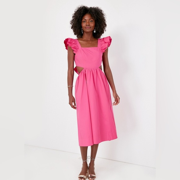 HYACINTH House From Tuckernuck NWT Pink Ruffle Sleeve Tie Back Bow Dress - Picture 14 of 15